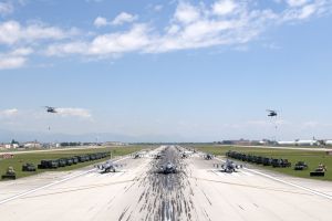 Aviano Elephant Walk